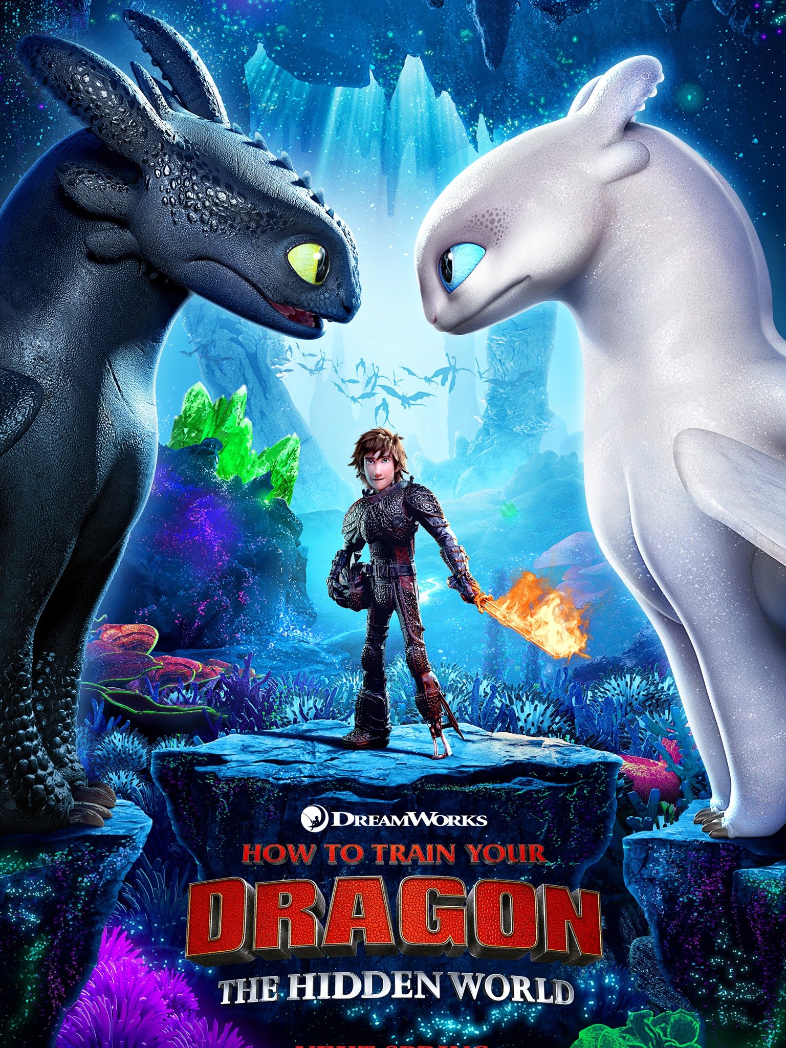 how to train your dragon poster