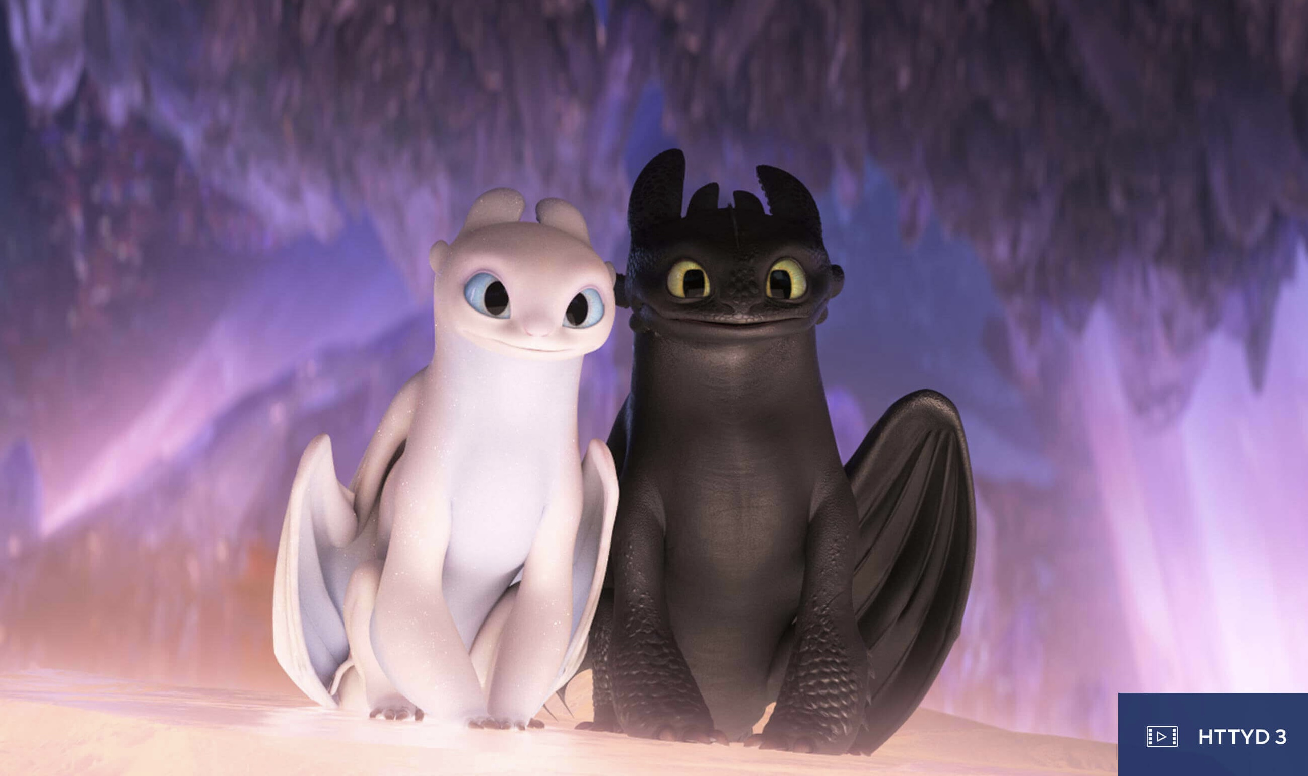 Toothless and The Light Furry