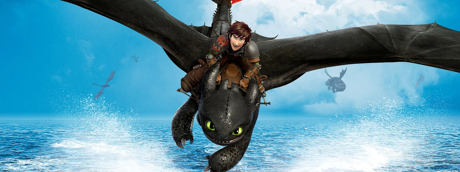 Hiccup with Toothless