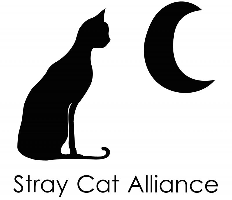 Stray Cat Alliance