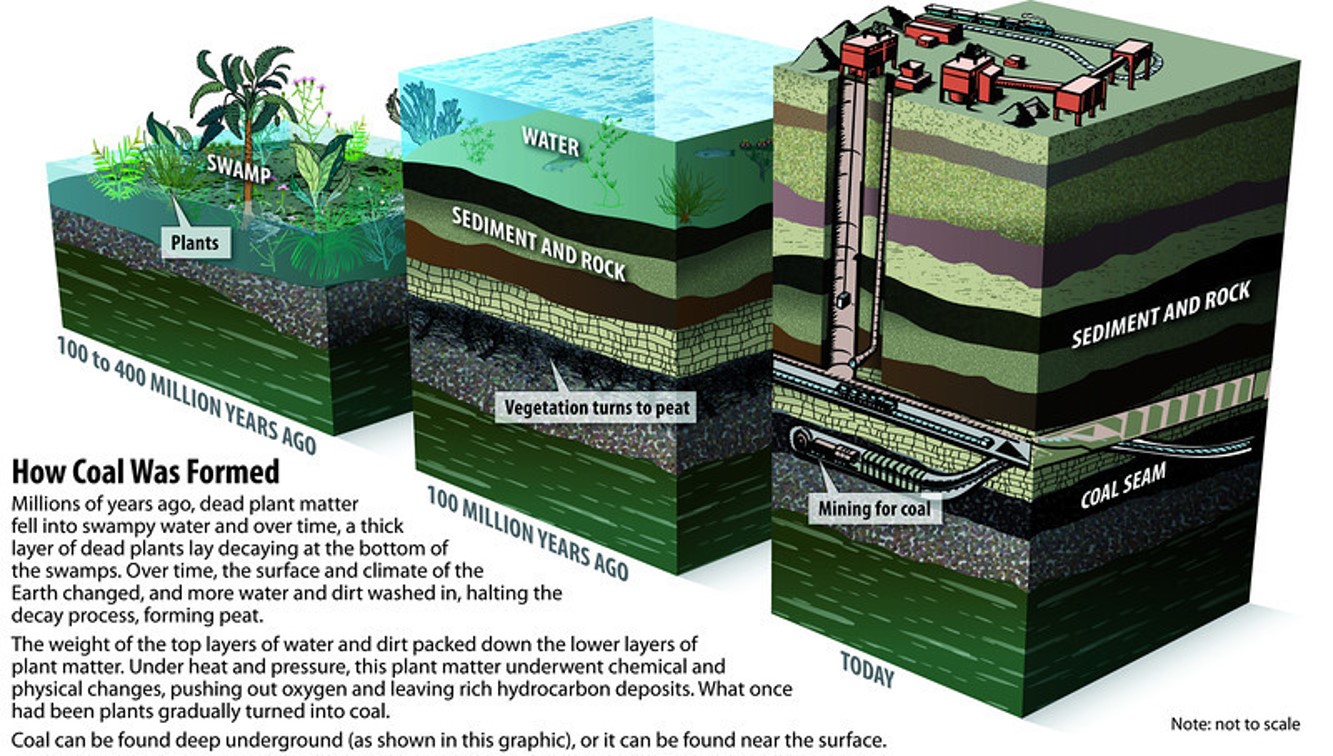 Coal Formation Mechanism