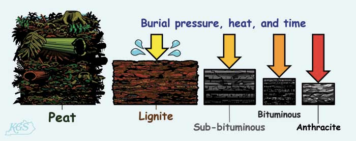 Different Types of Coal