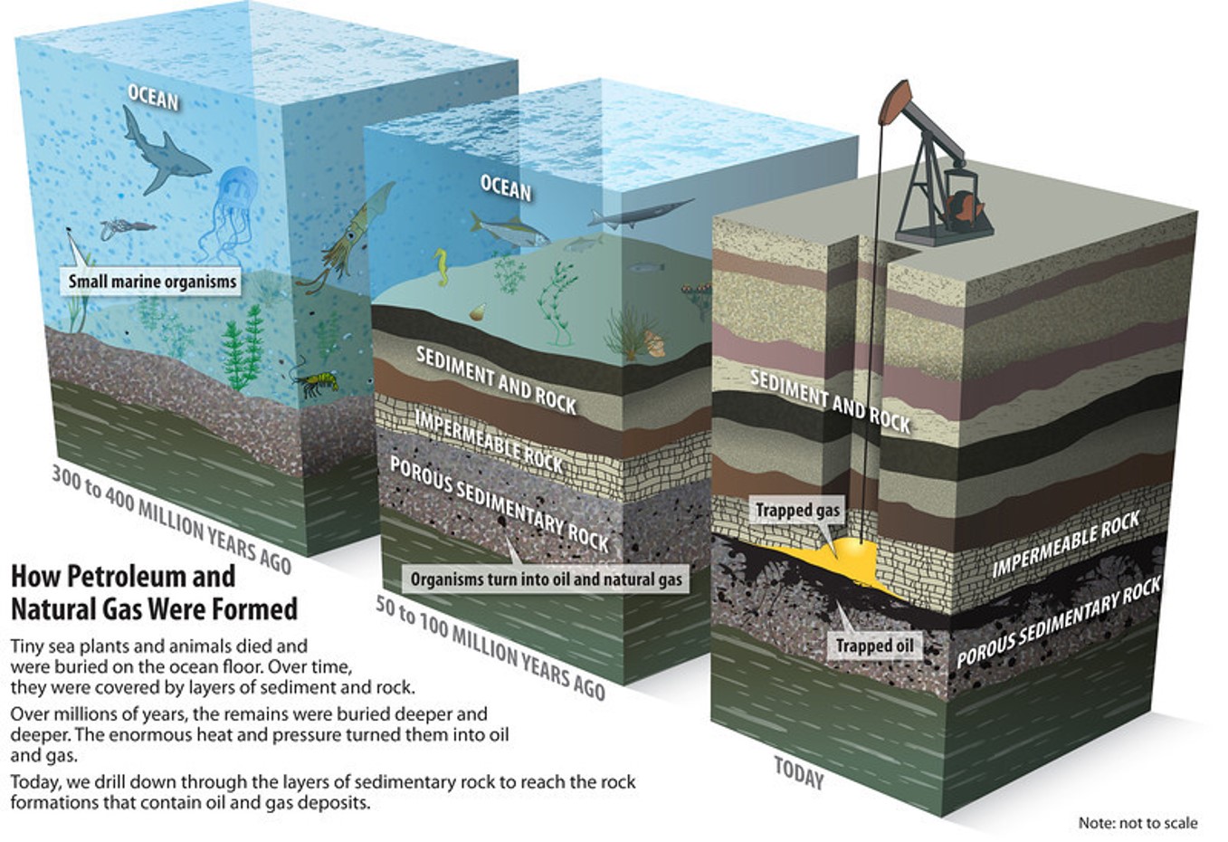 Petroleum Formation Mechanism