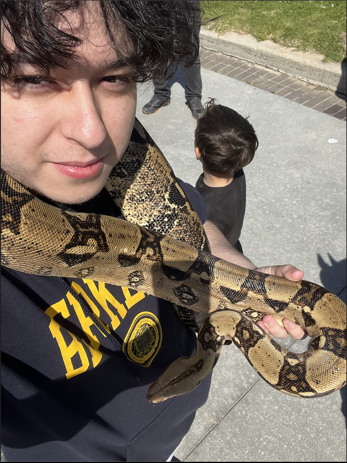 Snake
